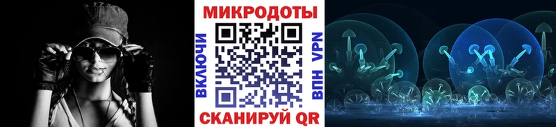Псилоцибиновые грибы Cubensis купить наркотик Киселёвск