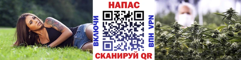 Каннабис тримм  Киселёвск 